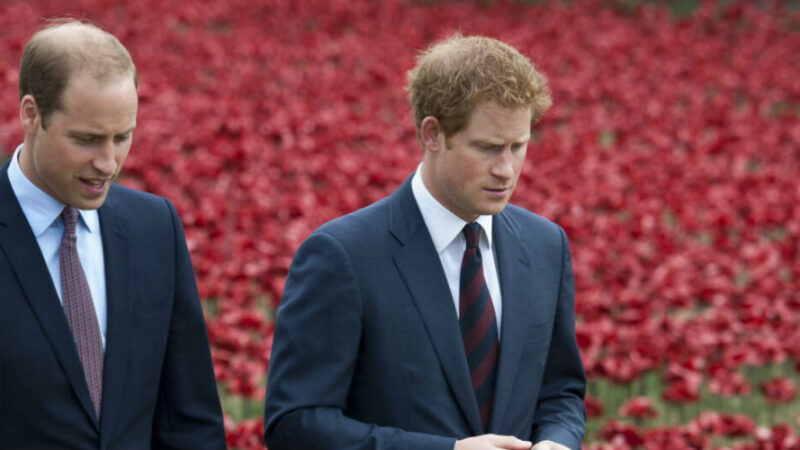 Harry e William smentiscono le loro divergenze e il presunto “bullismo”