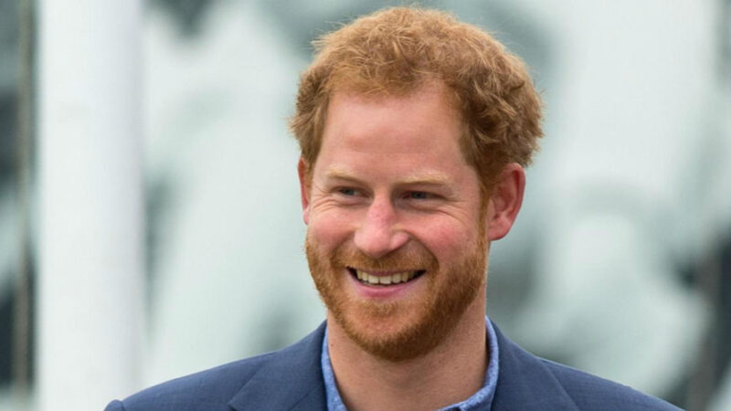 Buckingham Palace: “Harry non è un membro reale, parla a titolo personale”