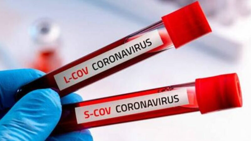 Coronavirus in Italia, il bollettino del 17 novembre: +731 morti per Covid