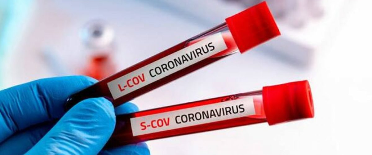 Coronavirus in Italia, il bollettino del 17 novembre: +731 morti per Covid