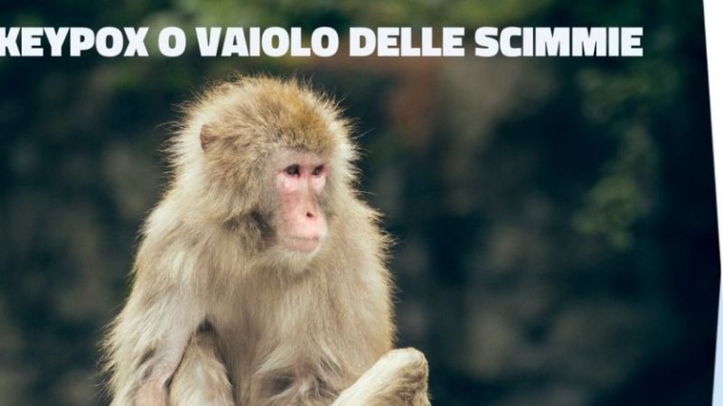 Vaiolo delle scimmie, l’Iss pubblica le avvertenze