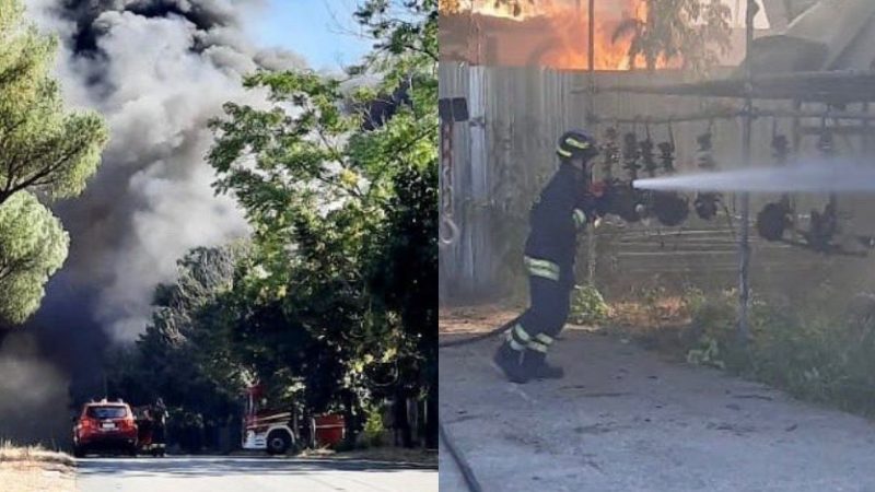 Incendio Roma, l’ipotesi: “un’azione di terrorismo ecologico”