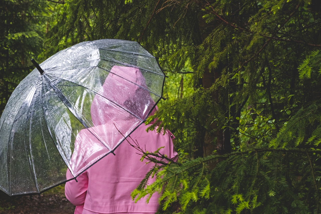 Short news, dall’Italia e dal mondo: le notizie del 1° agosto in un click